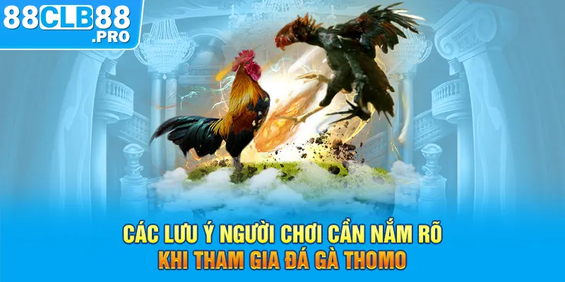 Các lưu ý người chơi cần nắm rõ khi tham gia đá gà Thomo