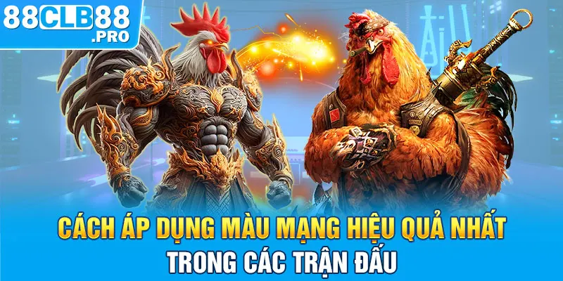 Cách áp dụng màu mạng hiệu quả nhất trong các trận đấu