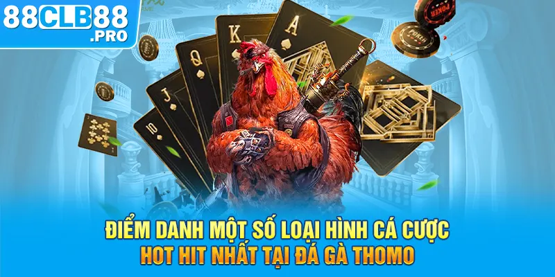 Điểm danh một số loại hình cá cược hot hit nhất tại đá gà Thomo