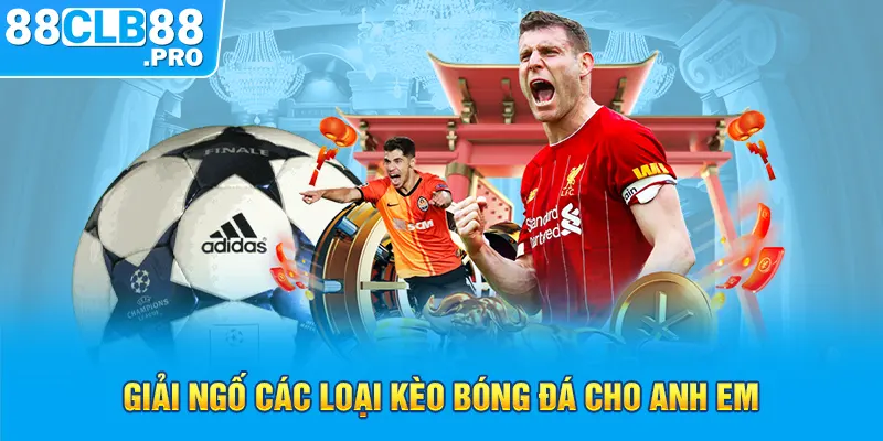 Giải ngố các loại kèo bóng đá cho anh em